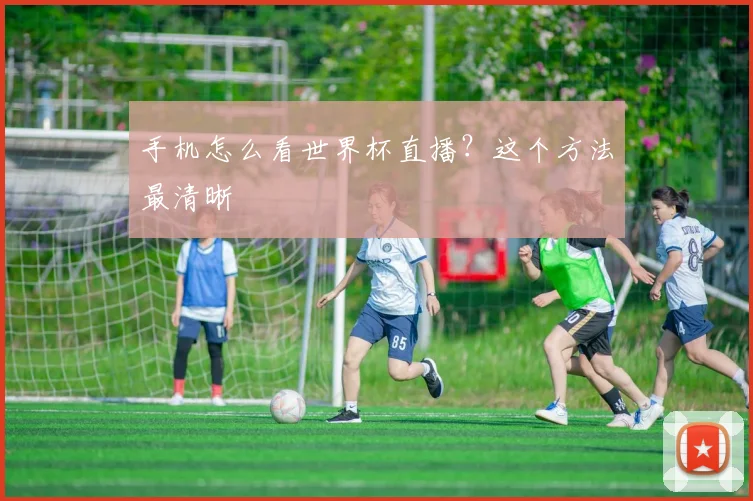 手机怎么看世界杯直播?这个方法最清晰