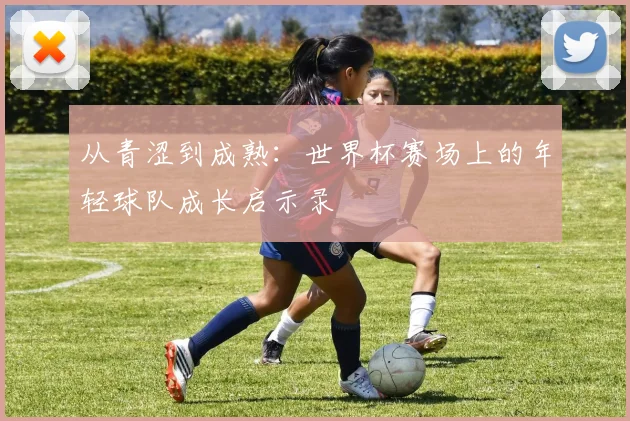 从青涩到成熟：世界杯赛场上的年轻球队成长启示录