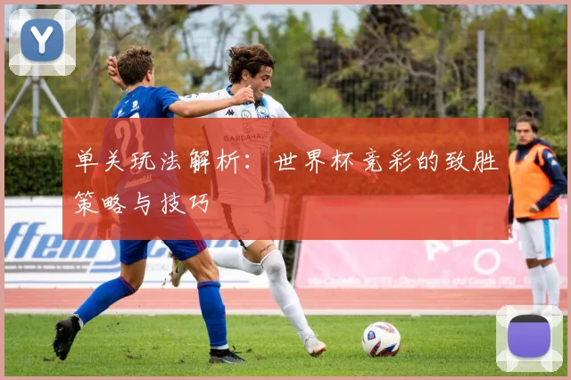 单关玩法解析:世界杯竞彩的致胜策略与技巧