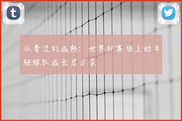 从青涩到成熟：世界杯赛场上的年轻球队成长启示录